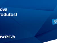 Primavera Professional