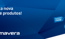 Primavera Professional